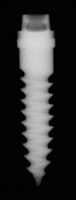 ERA Mini Dental Implants one-piece