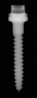 ERA Mini Dental Implants one-piece