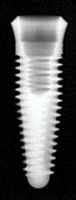Internal Taper (Tapered)