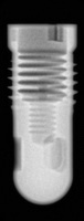 Screw-Cylinder