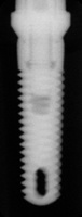 Tapered Screw-Vent