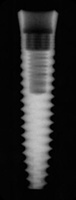 Two-Piece Taper Screw (TSI)