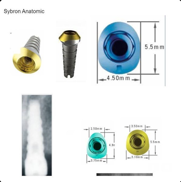 Sybron Anatomic view 3